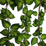 NNEDSZ Pothos / Ivy Hanging Vines 260cm Each (5 pack)