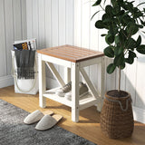 NNECW 2-tier Shower Bench with Storage Shelf for the Elderly & Disabled