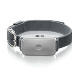 NNEDPE Motorola Duosonic Bark Control Collar