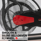 NNEDPE Powertrain Air Resistance Fan Exercise Bike Cardio - Black