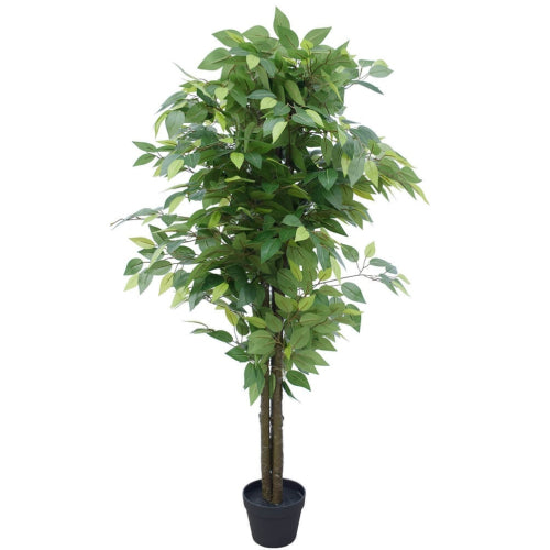 NNEDSZ Bushy Ficus Tree 145cm