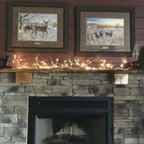 NNETM 6ft Birch Wreath Garland with 48 LED Lights