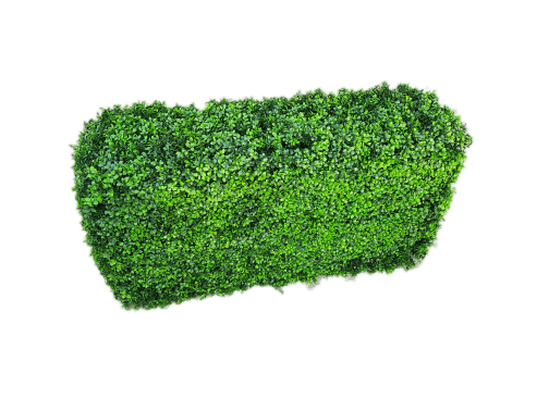 NNEDSZ Portable Buxus (Bright) UV Resistant 100cm Long x 50cm High x 25cm Wide