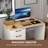 NNECW Home Office Writing Desk with File Storage Cabinet