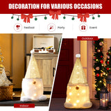 NNECW Pre-Lit Gnomes Christmas Decoration with 40 Warm White LED Lights for Home & Garden