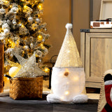 NNECW Pre-Lit Gnomes Christmas Decoration with 40 Warm White LED Lights for Home & Garden