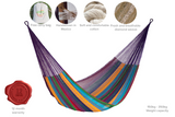 NNEDSZ Size Mayan Legacy Cotton Mexican Hammock in Colorina Colour