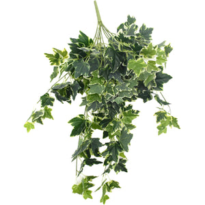NNEDSZ Green and White Tipped Ivy Bush 100cm
