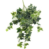 NNEDSZ Green and White Tipped Ivy Bush 100cm
