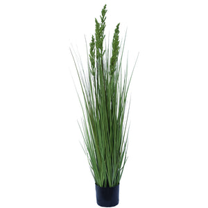 NNEDSZ Native Grass 120 cm