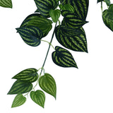 NNEDSZ Mixed Philodendron Garland Bush 100cm