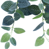 NNEDSZ Fittonia Hanging Garland Bush 80cm
