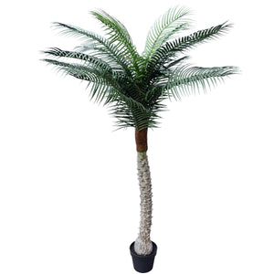 NNEDSZ Phoenix Palm Tree 170cm UV Resistant