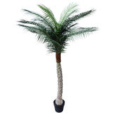 NNEDSZ Phoenix Palm Tree 170cm UV Resistant