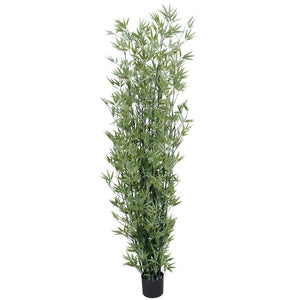 NNEDSZ Stabilized Artificial Japanese Bamboo On A Green Trunk 2.1m