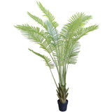 NNEDSZ Multi Stem Hawaii Palm 190cm