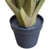 NNEDSZ Multi Stem Hawaii Palm 190cm