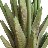 NNEDSZ Multi Stem Hawaii Palm 190cm