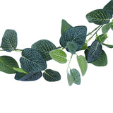 NNEDSZ Fittonia Garland 190cm