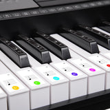 NNEDPE Karrera 61 Keys Electronic LED Keyboard Piano with Stand - Black