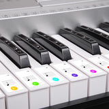 NNEDPE Karrera 61 Keys Electronic LED Keyboard Piano with Stand - Silver