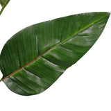 NNEDSZ Potted 150cm Bird of Paradise Plant