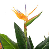 NNEDSZ Potted 150cm Bird of Paradise Plant