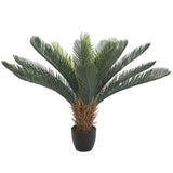 NNEDSZ Cyac (Cycad) Plant 60cm