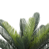 NNEDSZ Cyac (Cycad) Plant 60cm