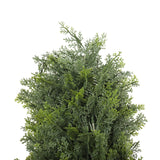 NNEDSZ Resistant Cypress Pine Tree 1.8m