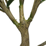 NNEDSZ White Flowering Magnolia Tree with Pot 130cm