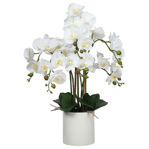 NNEDSZ Multi-Stem White Potted Faux Orchid 65cm