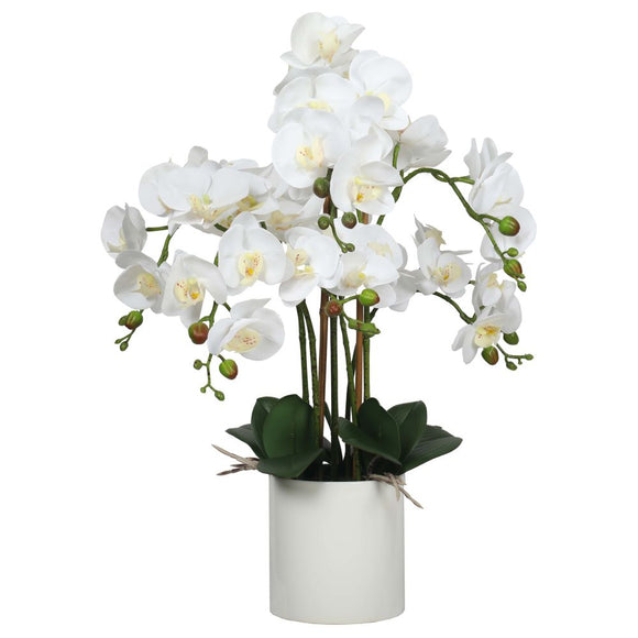 NNEDSZ Multi-Stem White Potted Faux Orchid 65cm