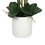 NNEDSZ Multi-Stem White Potted Faux Orchid 65cm