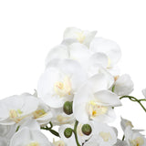 NNEDSZ Multi-Stem White Potted Faux Orchid 65cm