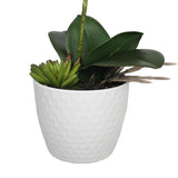 NNEDSZ Single Stem White Phalaenopsis Orchid with Decorative Pot 35cm