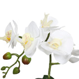 NNEDSZ Single Stem White Phalaenopsis Orchid with Decorative Pot 35cm
