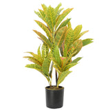 NNEDSZ Potted Flaming Zebra (Codiaeum variegatum / crotons) 55cm