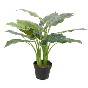 NNEDSZ Potted Taro Plant / Elephant Ear 70cm