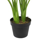 NNEDSZ Potted Taro Plant / Elephant Ear 70cm