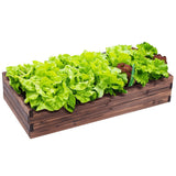 NNECW Raised Bed Open Elevated Planter Box Herbs Vegetable for Garden