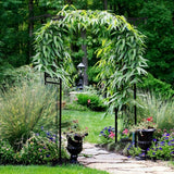 NNECW Garden Arch with Solid Steel Construction for Wedding