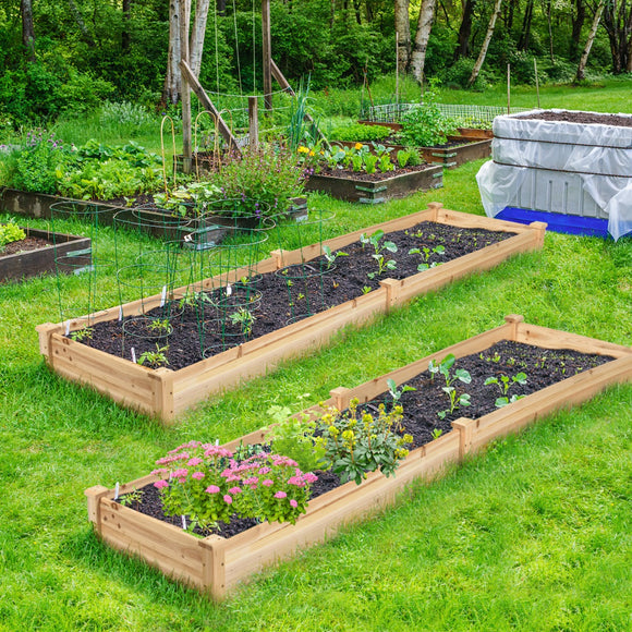 NNECW Raised Garden Bed Elevated Planter Box with Divider
