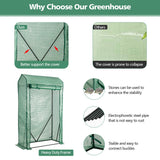 NNECW Walk-in Garden Greenhouse with Roll-up Door for Vegetables & Flowers