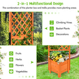 NNECW Free-Standing Raised Garden Bed with Trellis for Indoor & Outdoor Planting