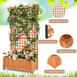NNECW Raised Garden Bed with Trellis and Drainage Holes for Garden/Patio Balcony