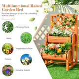 NNECW 2-Tier Raised Garden Bed with 2 Planter Boxes for Garden
