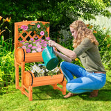 NNECW 2-Tier Raised Garden Bed with 2 Planter Boxes for Garden