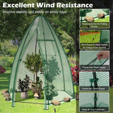 NNECW Portable Mini Garden Greenhouse for Pot Plants