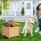 NNECW Folding Square Fir Wood Raised Garden Bed for Vegetables Flowers Herbs